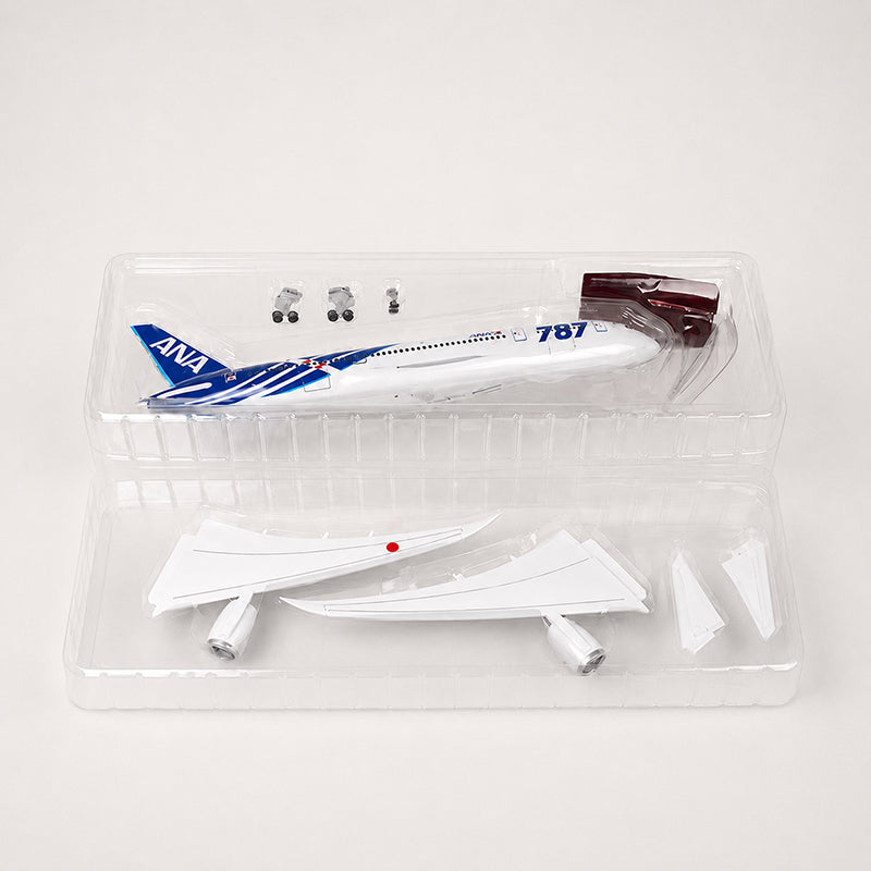 All Nippon Airways Boeing 787 1:130 Scale Model